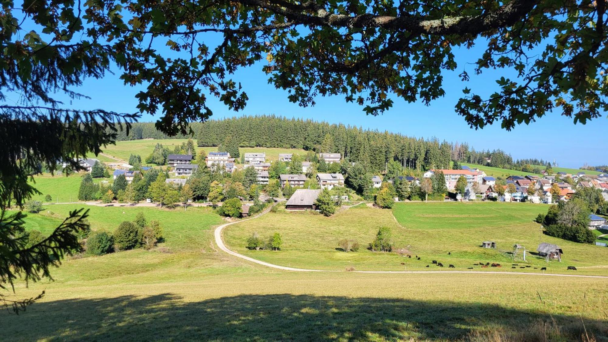 Fewo Gretel Schoenwald Schönwald Exterior foto
